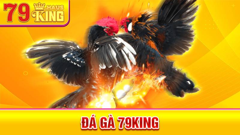 Đá gà 79King: Cá cược đá gà Thomo chuyên nghiệp xanh chín 1 Đá gà 79King